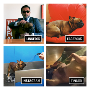 Dolly Parton Challenge Werbeagentur Frankfurt Dolly Parton Challenge Werbeagentur Frankfurt